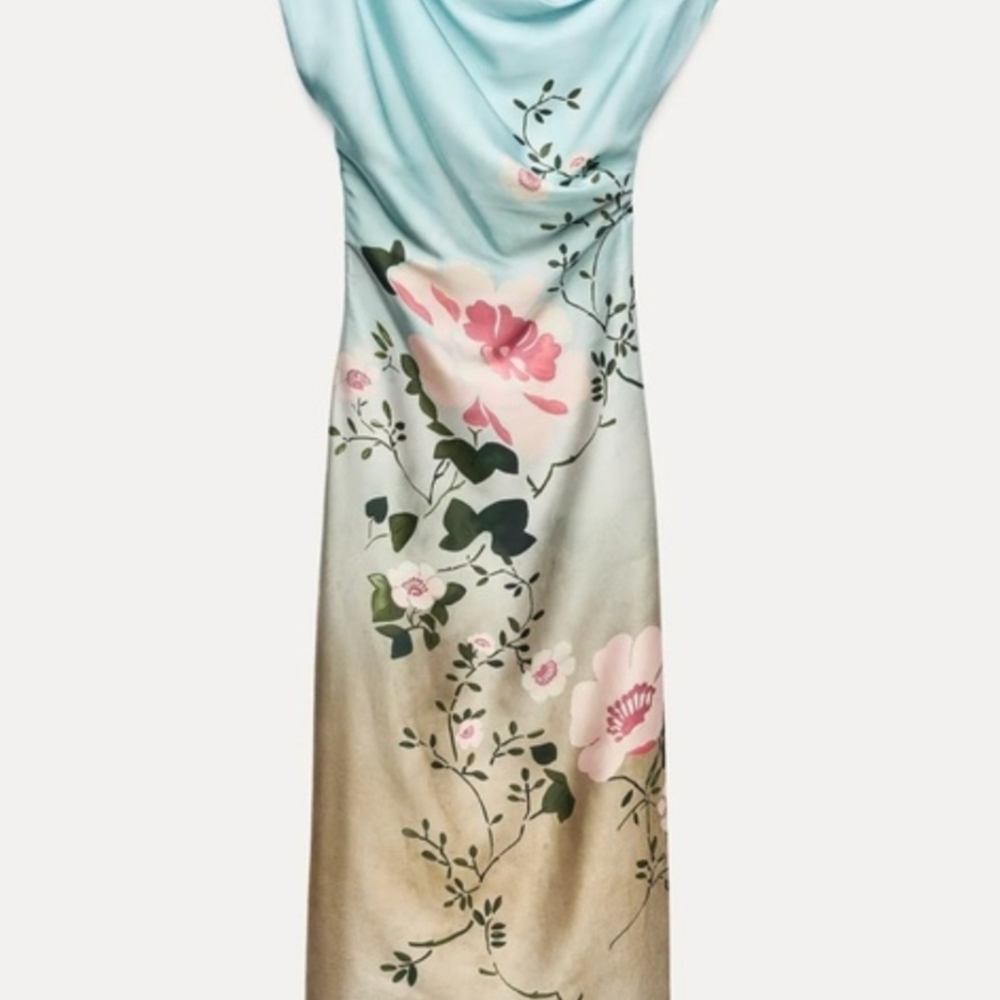Zara Blue and Pink Floral Midi Dress